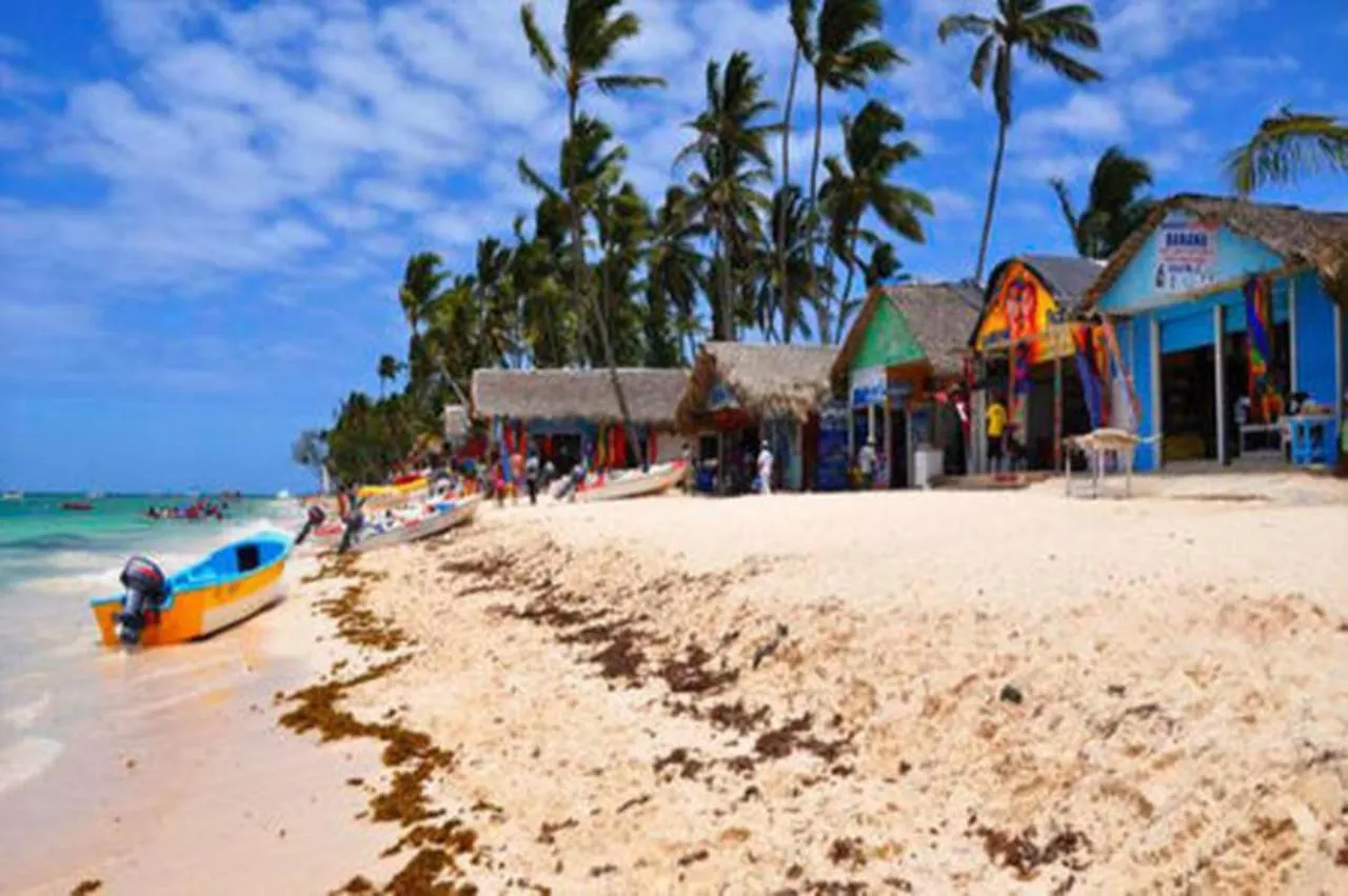 Chic Beachfront Apartment - Private Beach Access Punta Cana 0*,  Dominican Republic
